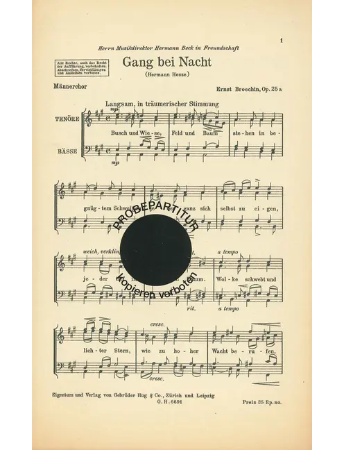 Gang bei Nacht